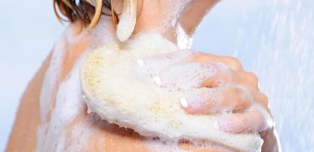 best body wash for women