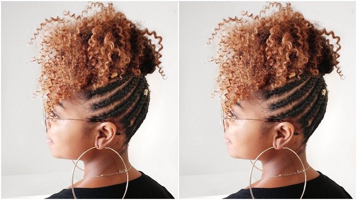 Elegant Twists, Natural and Braided Updo Hairstyles